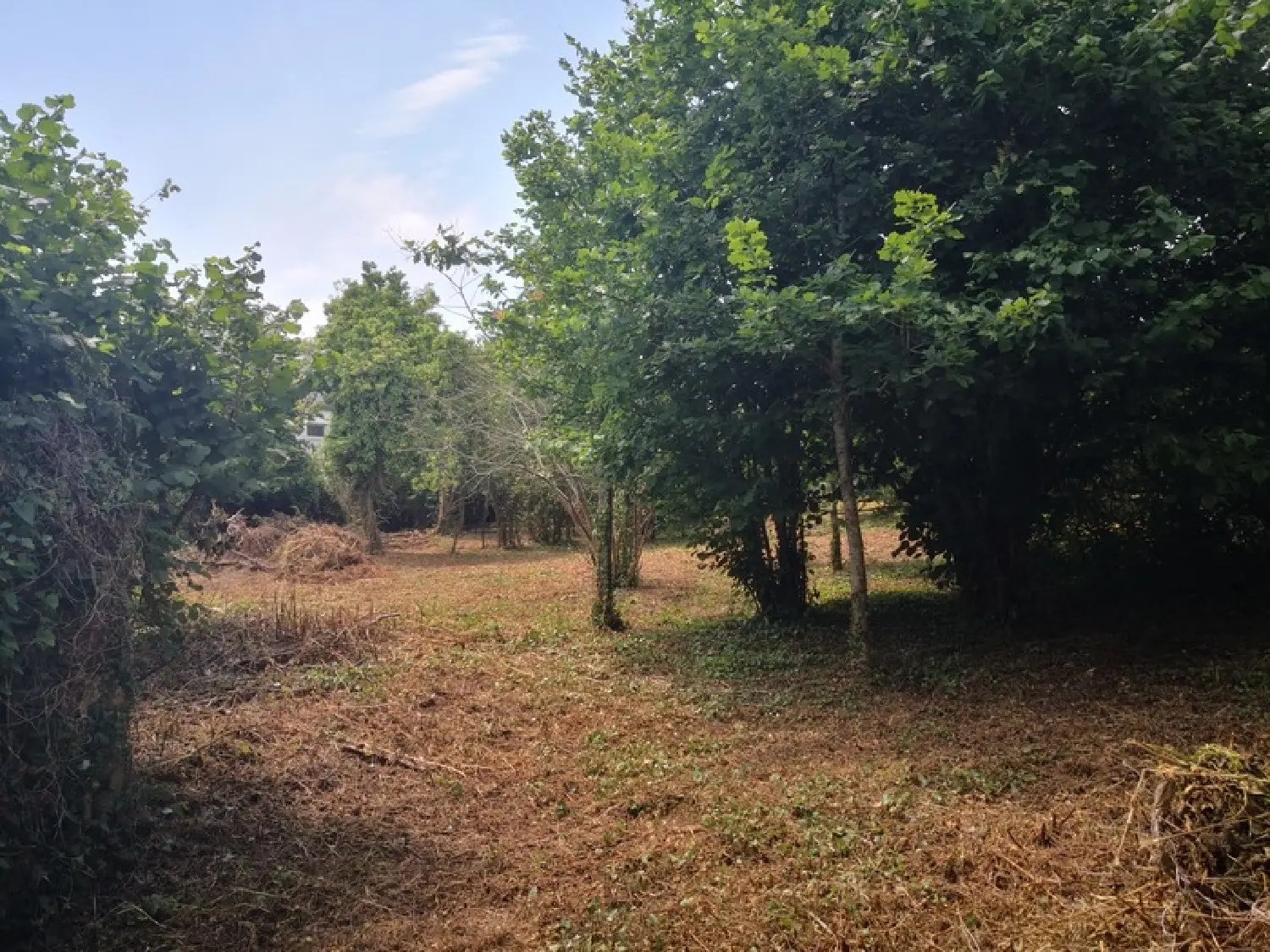  à vendre terrain Pont-Melvez Côtes-d'Armor 6