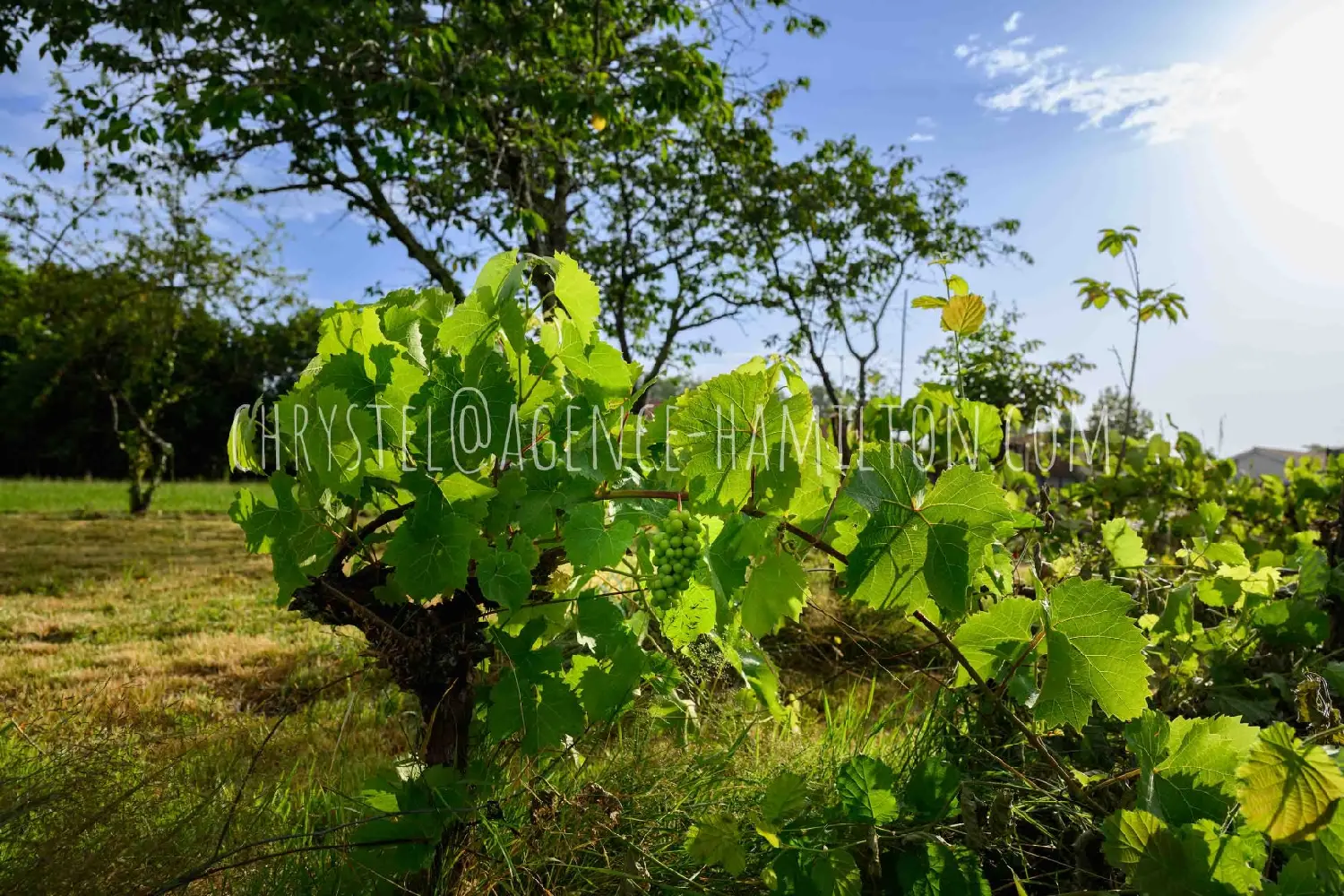  en venta terreno Port-de-Lanne Landes 1