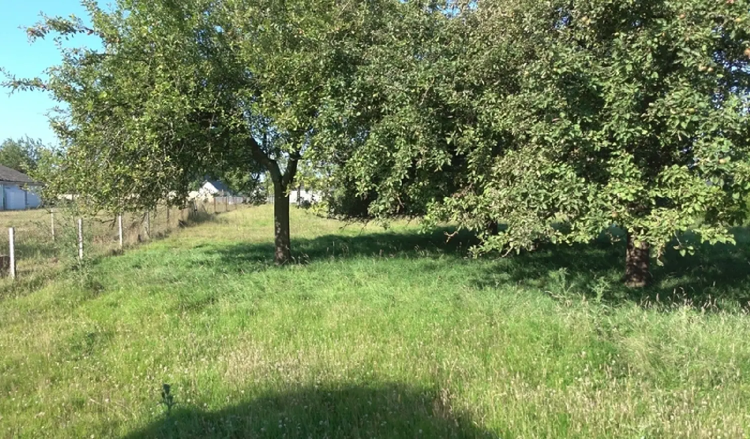  for sale terrain Raffetot Seine-Maritime 1