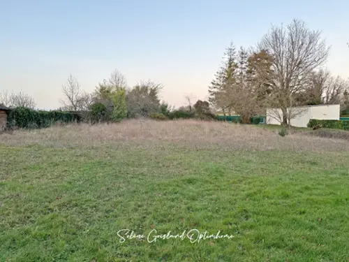 Rieux Morbihan terrain foto 7111853