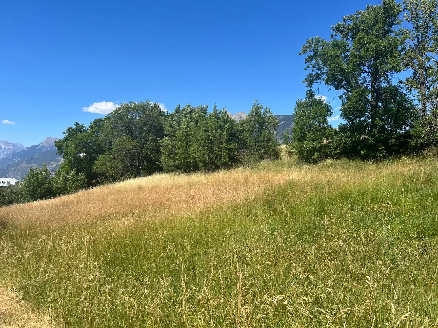  à vendre terrain Risoul Hautes-Alpes 1