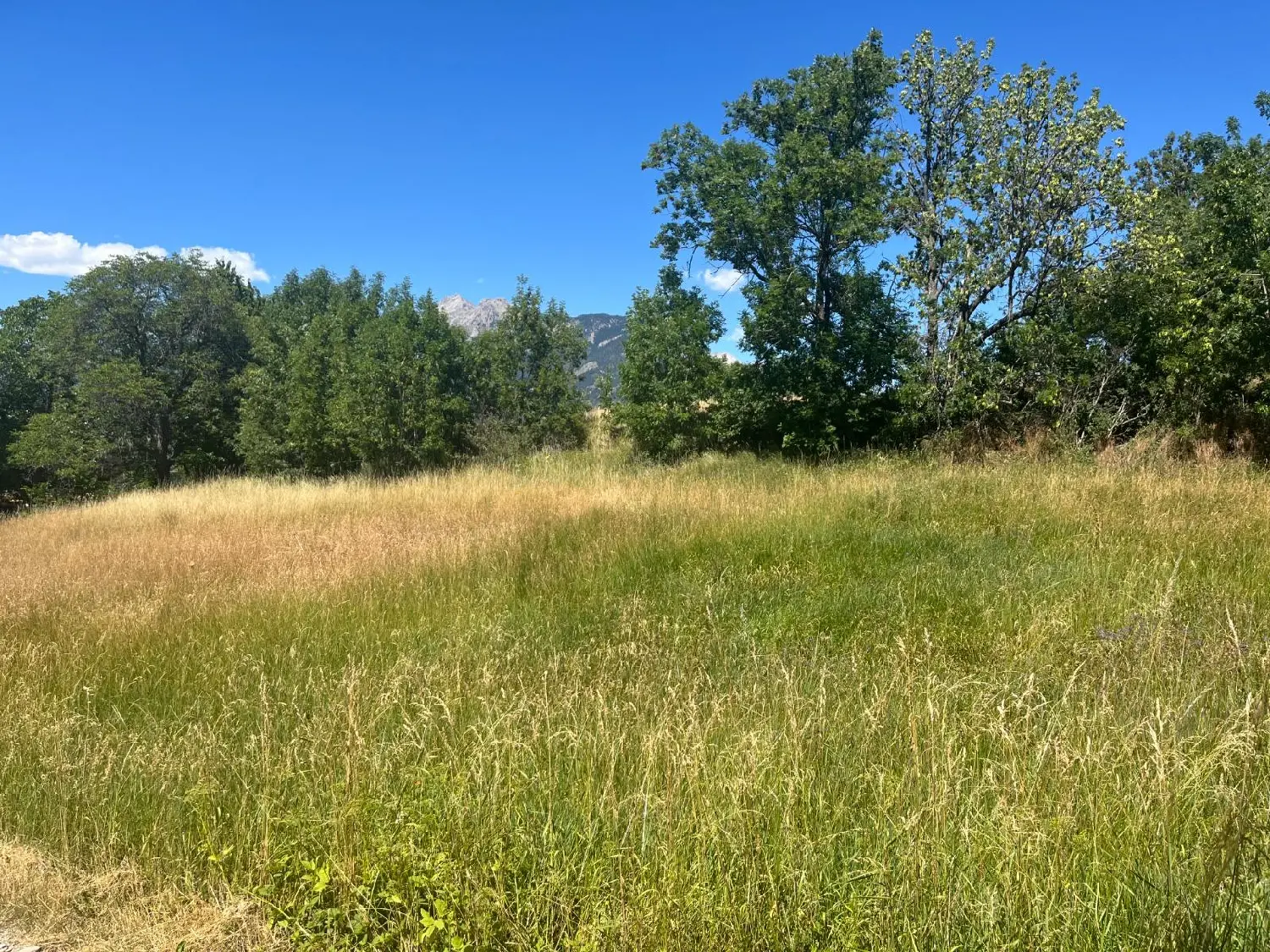  à vendre terrain Risoul Hautes-Alpes 3