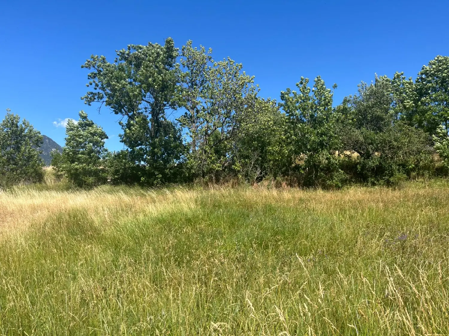  à vendre terrain Risoul Hautes-Alpes 4