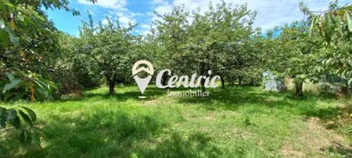 Rochefort-sur-Loire Maine-et-Loire Grundstück Bild 7110926