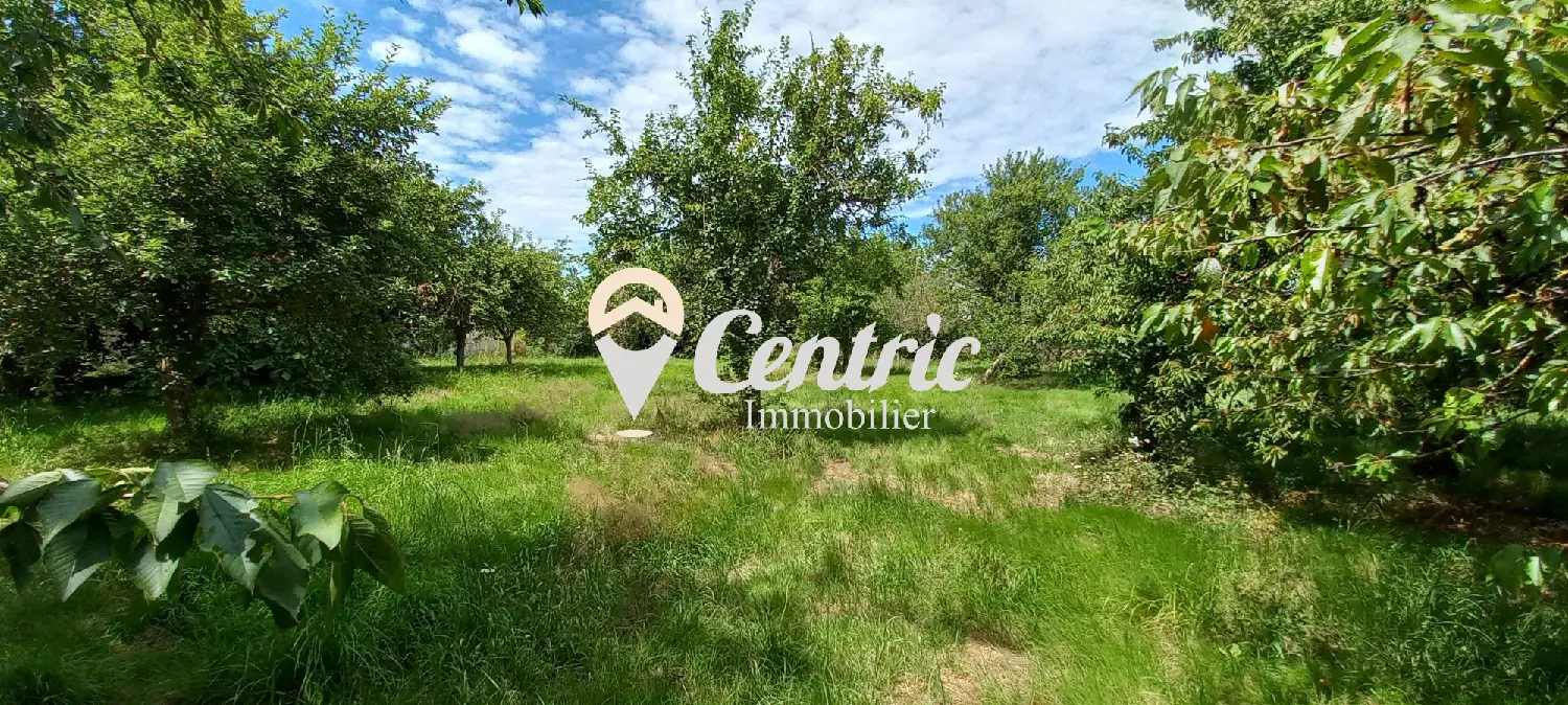  kaufen Grundstück Rochefort-sur-Loire Maine-et-Loire 6