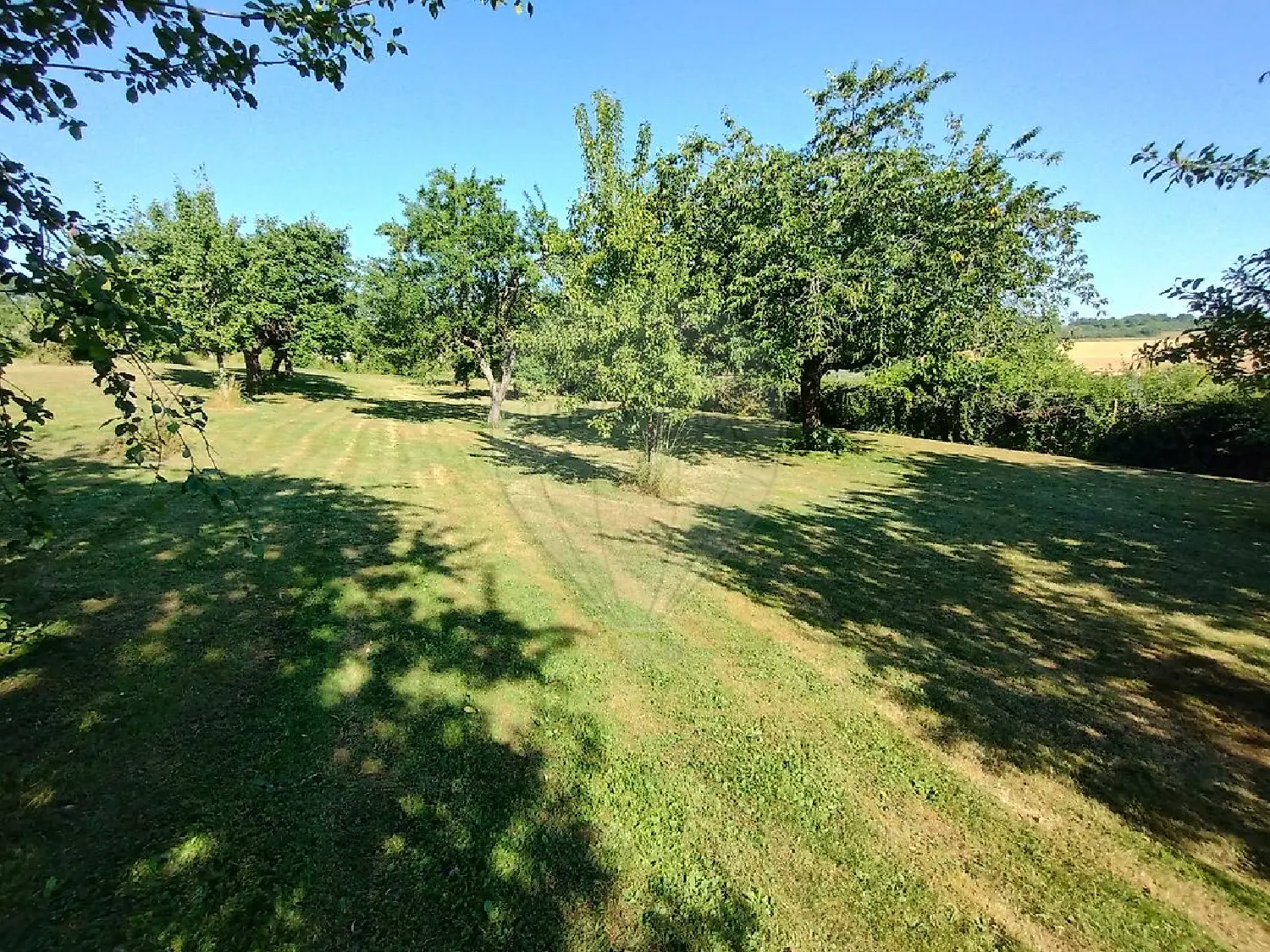  en venta terreno Romont Vosgos 4