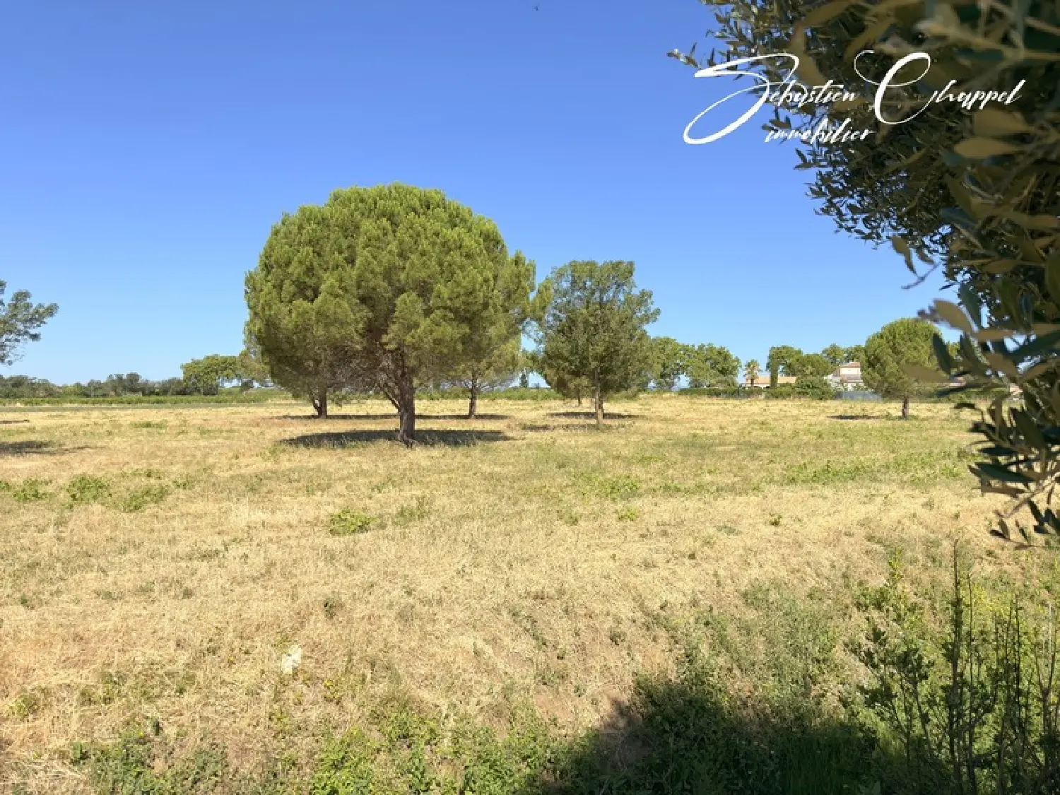  en venta terreno Roujan Hérault 3