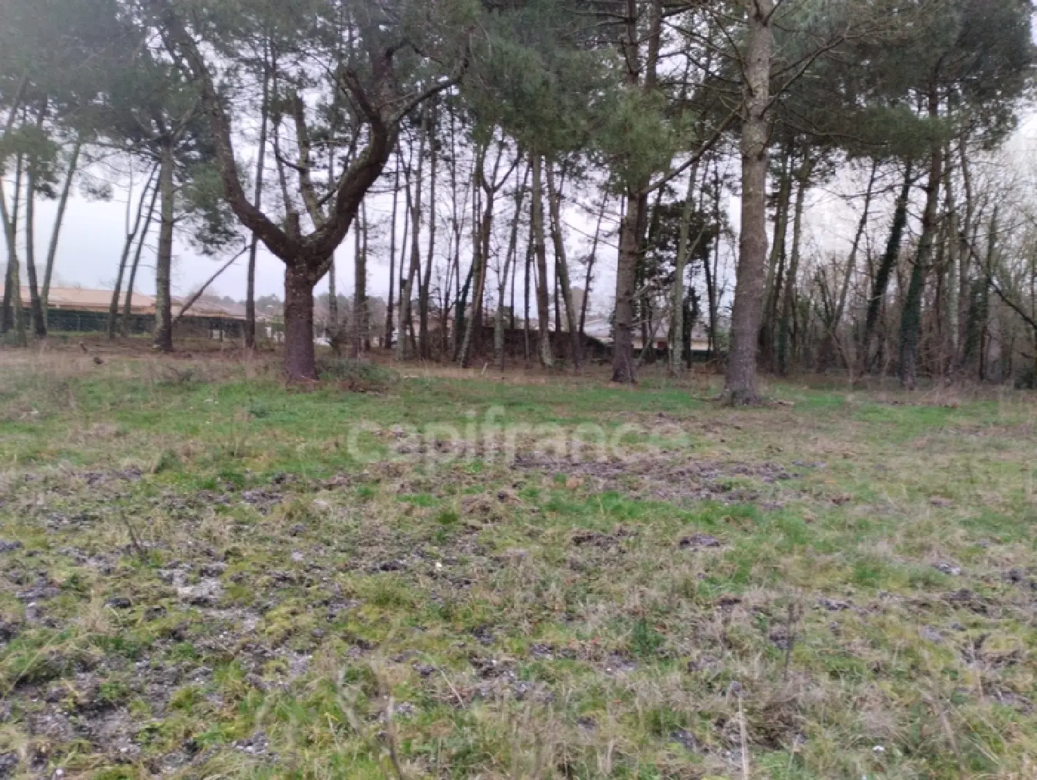  à vendre terrain Saint-Aubin-de-Médoc Gironde 1