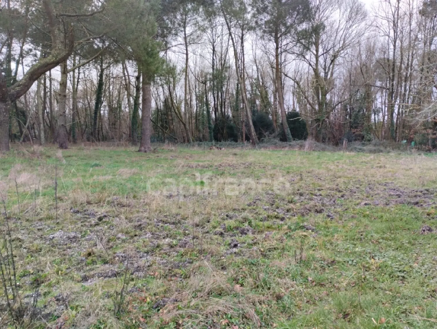  à vendre terrain Saint-Aubin-de-Médoc Gironde 1