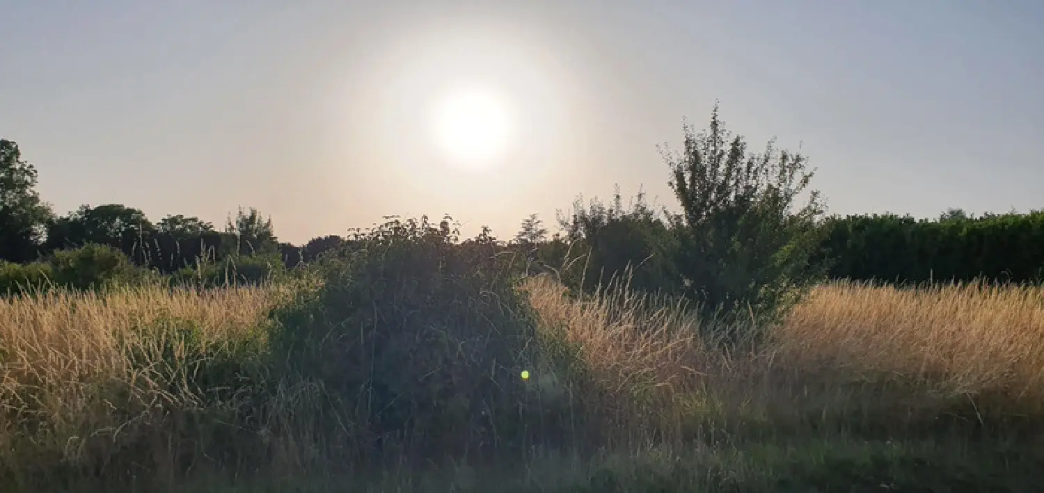  for sale terrain Saint-Ciers-du-Taillon Charente-Maritime 1