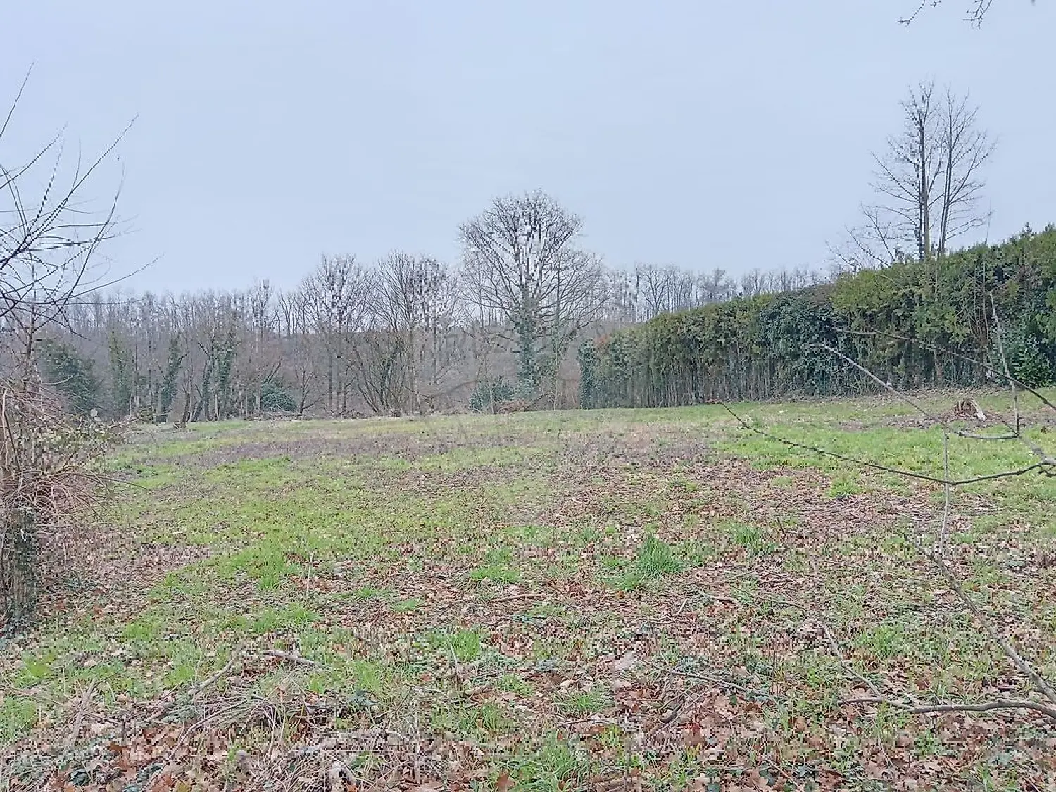  for sale terrain Saint-Didier-de-Formans Ain 3