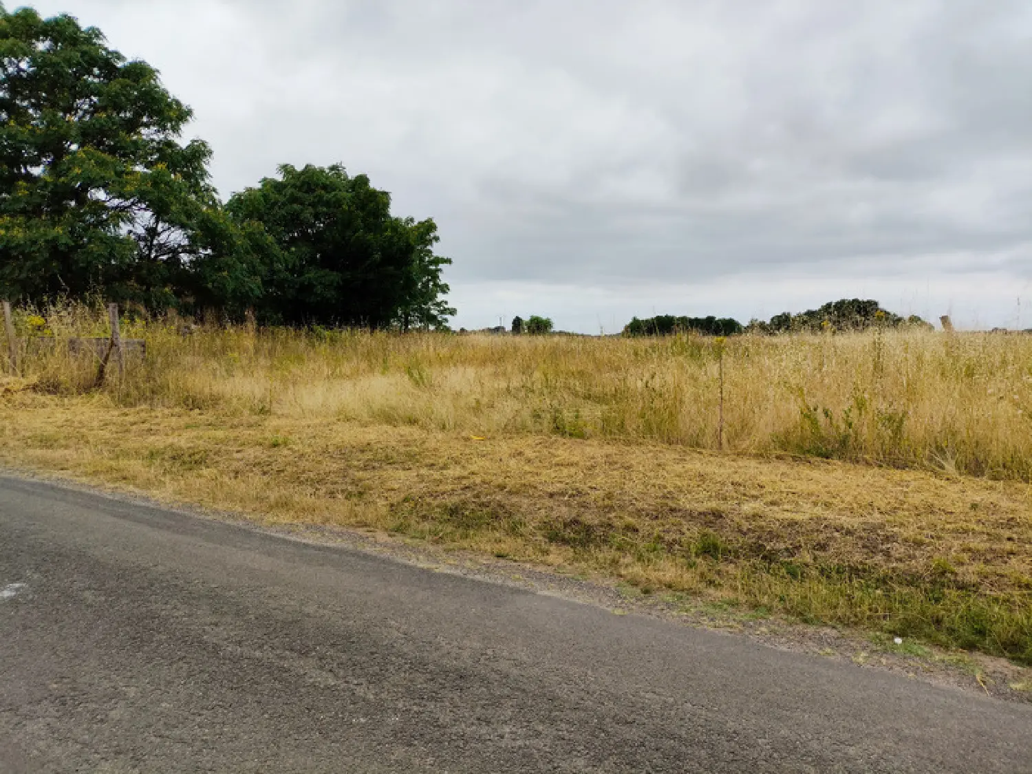  à vendre terrain Saint-Hilaire-du-Bois Charente-Maritime 3