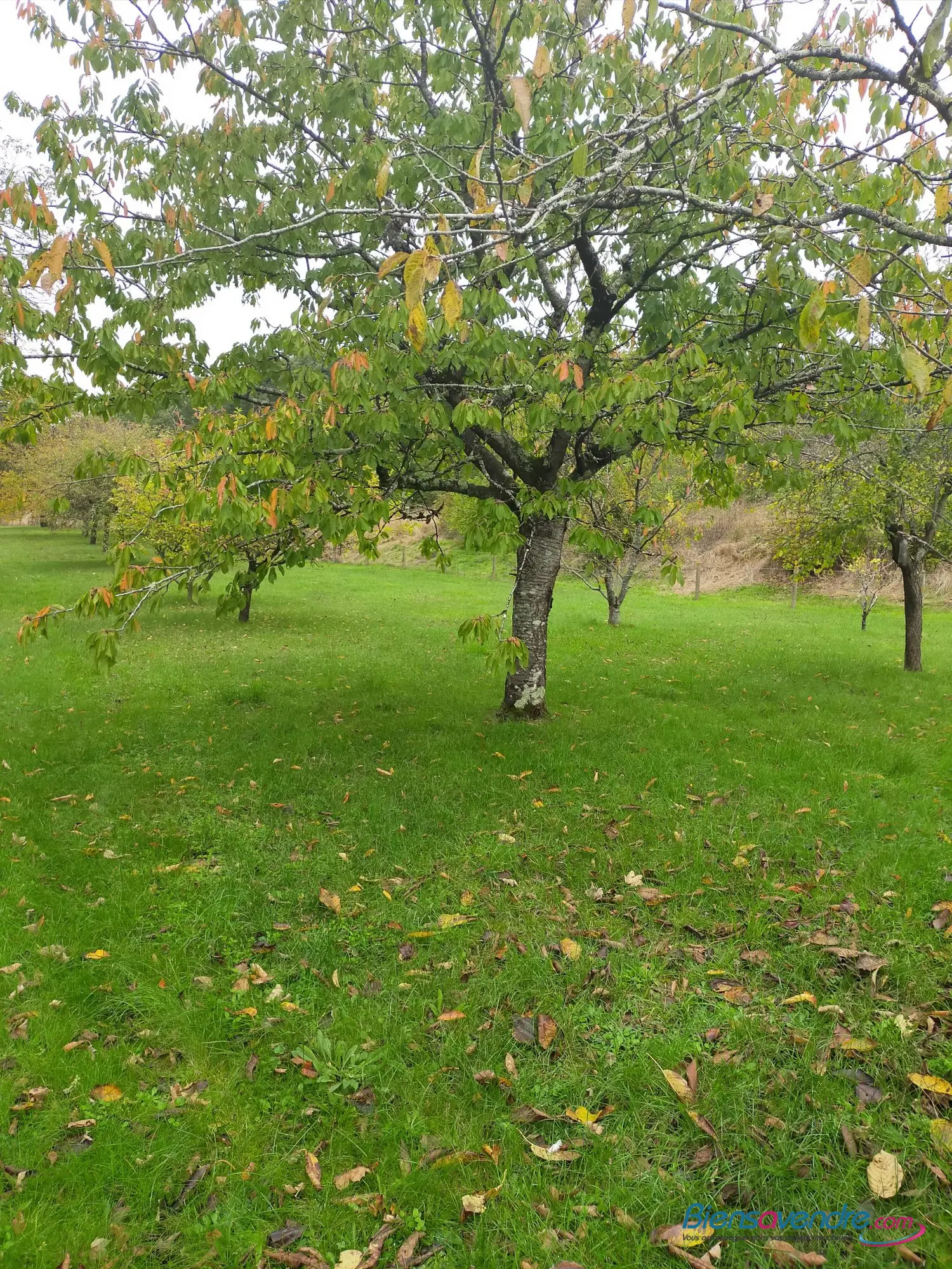  for sale terrain Saint-Julien-l'Ars Vienne 1