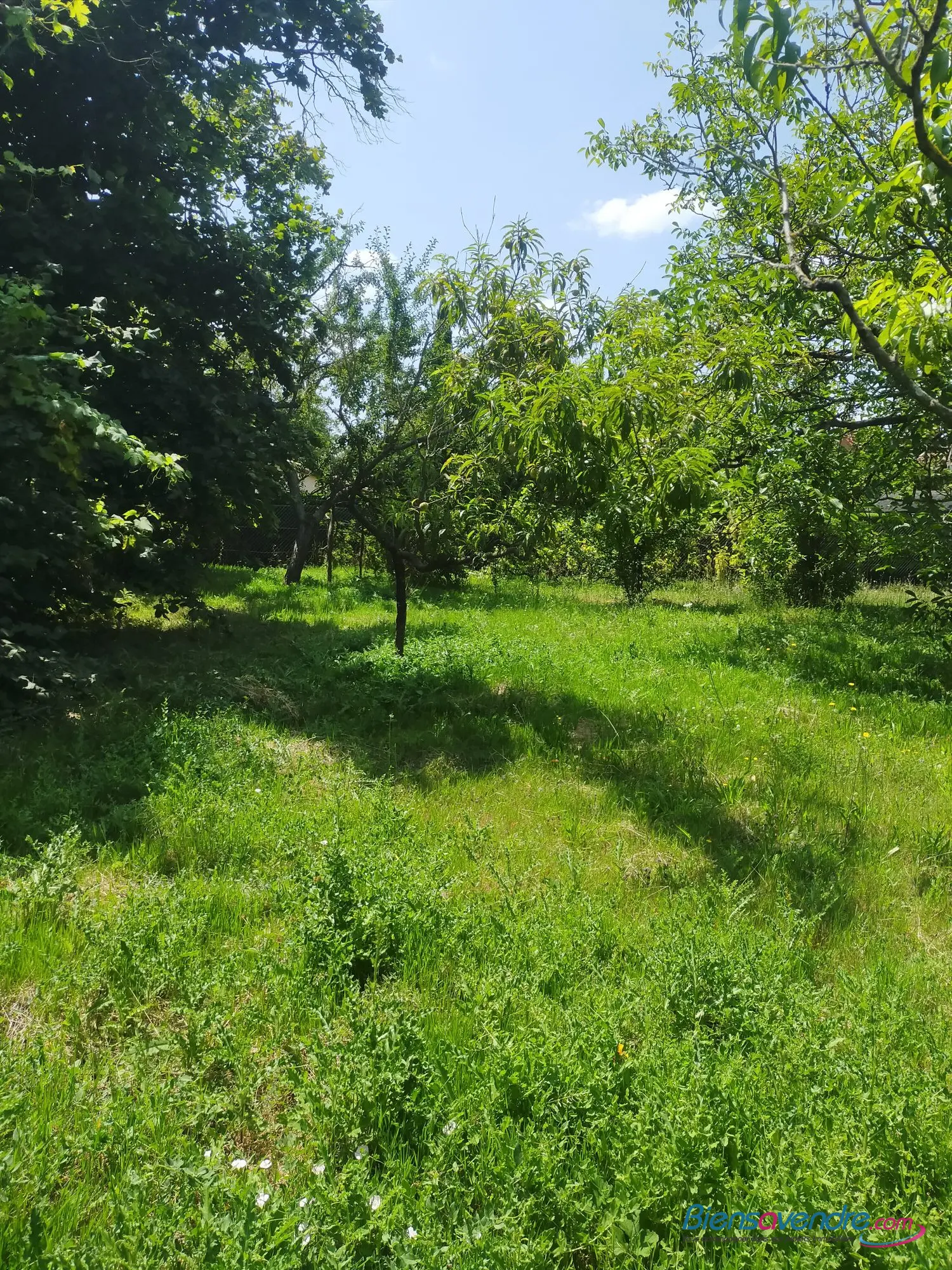  for sale terrain Saint-Julien-l'Ars Vienne 3