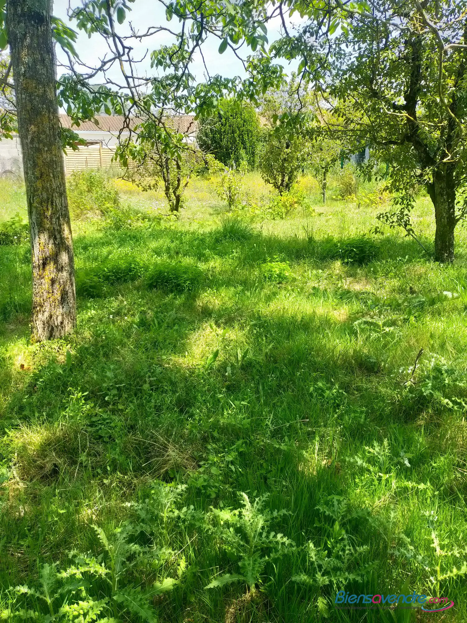  for sale terrain Saint-Julien-l'Ars Vienne 2