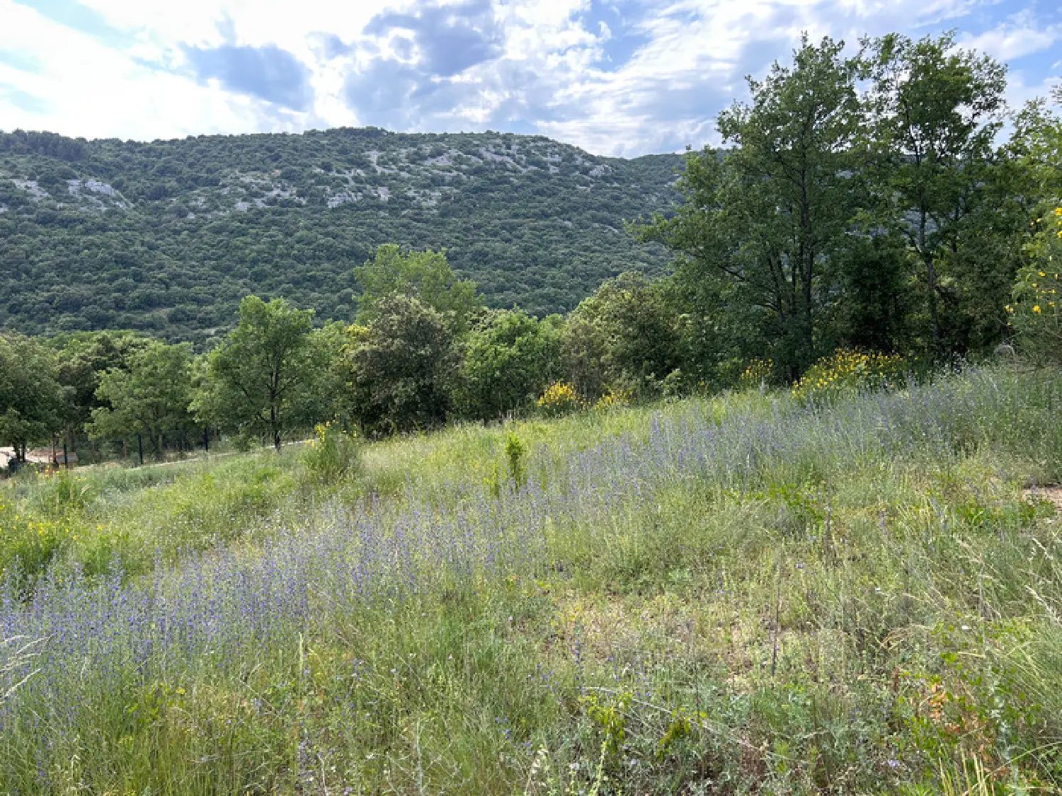  en venta terreno Saint-Martin-d'Ardèche Ardèche 1