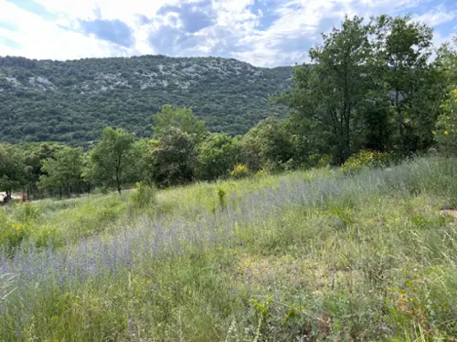 Saint-Martin-d'Ardèche Ardeche terreno foto 7112951