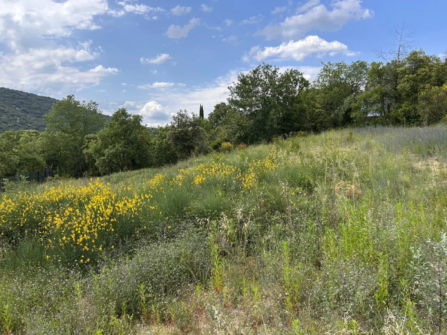  en venta terreno Saint-Martin-d'Ardèche Ardèche 3