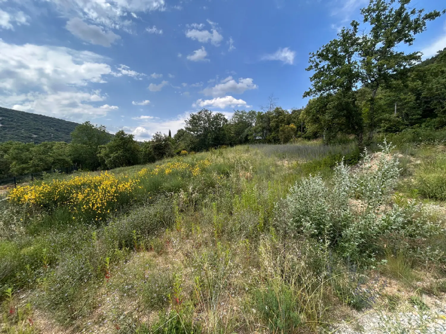  en venta terreno Saint-Martin-d'Ardèche Ardèche 4