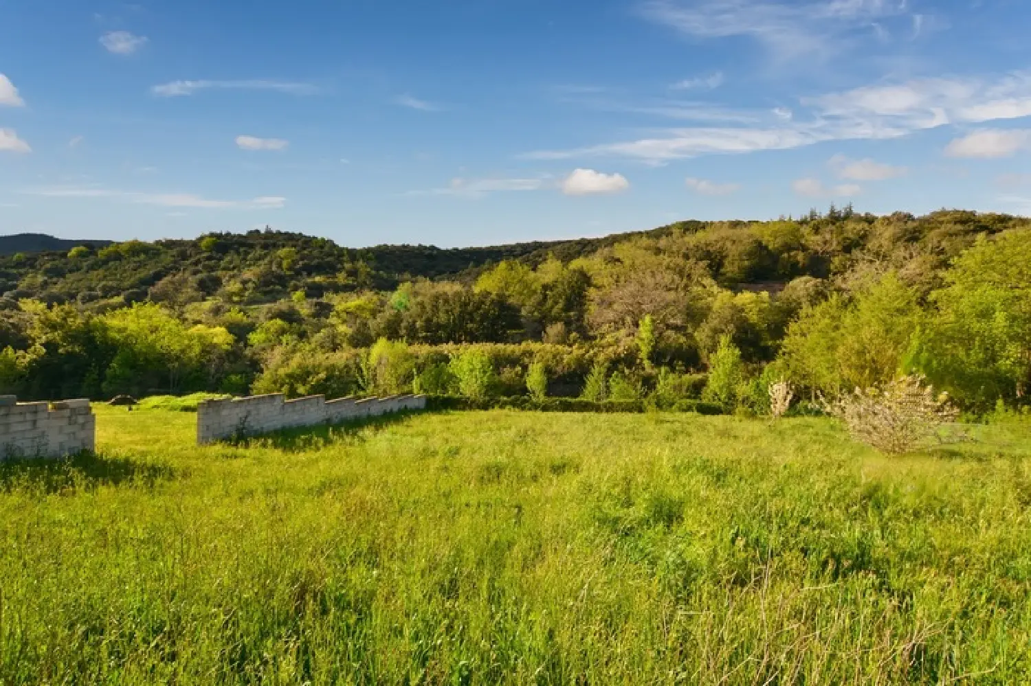  te koop terrein Saint-Nazaire-de-Ladarez Hérault 4