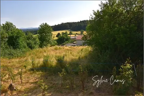 Saint-Pal-de-Mons Haute-Loire terreno foto 7109176