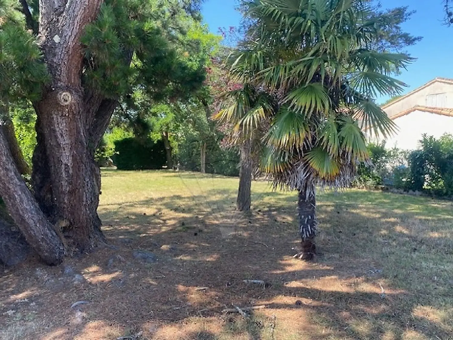  en venta terreno Saint-Palais-sur-Mer Charente-Maritime 4