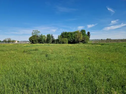Saint-Pierre-de-Mons Gironde terrain foto 7113996