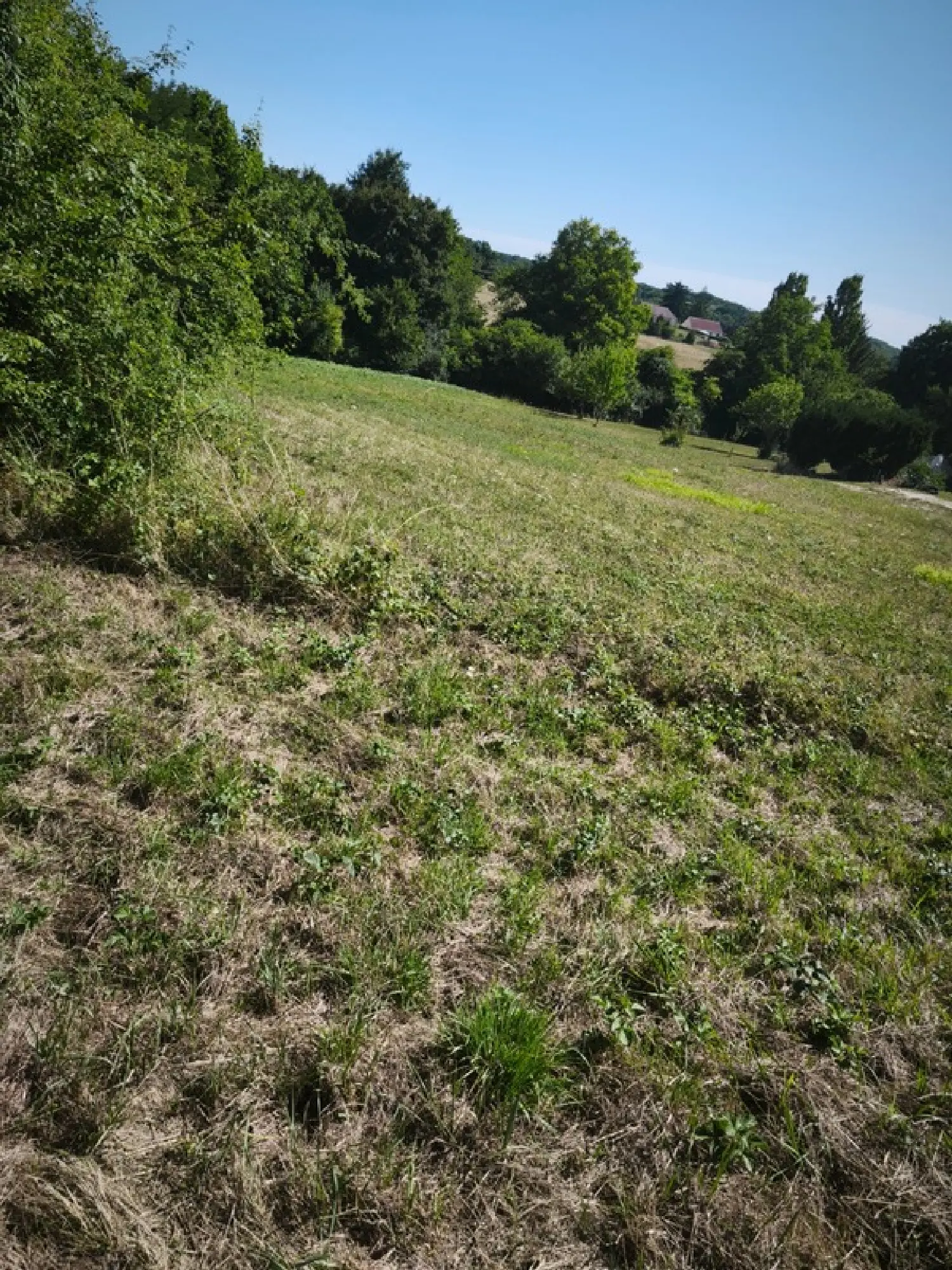  for sale terrain Saint-Privé Yonne 1