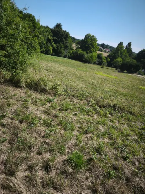 Saint-Privé Yonne terrain foto 7112402