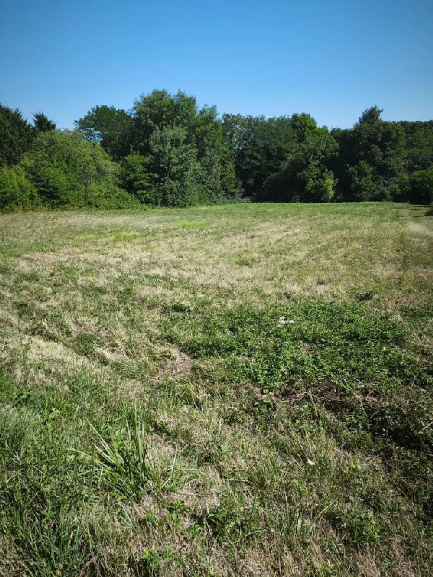  for sale terrain Saint-Privé Yonne 2