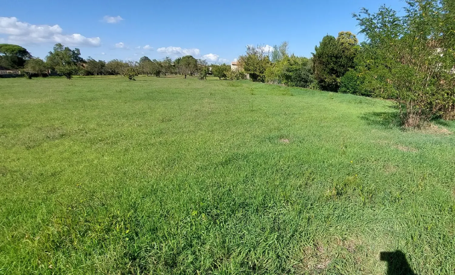  te koop terrein Saint-Quentin-la-Poterie Gard 1