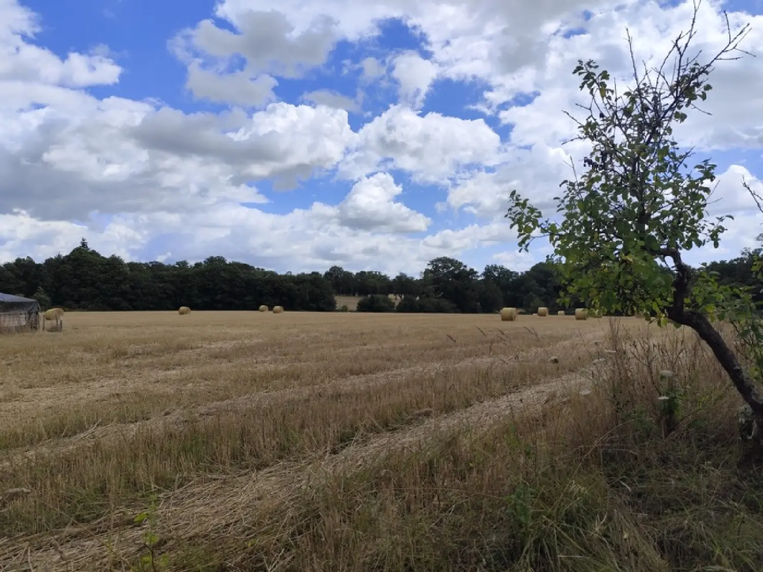  te koop terrein Saint-Vincent-sur-Oust Morbihan 5