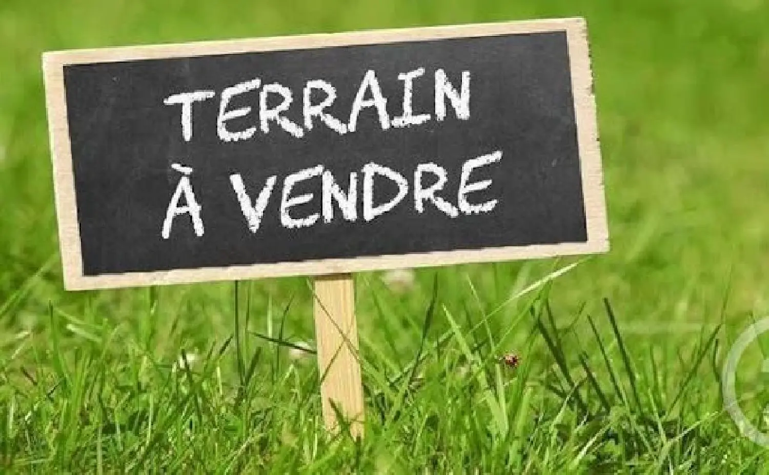  à vendre terrain Sainte-Foy Vendée 1