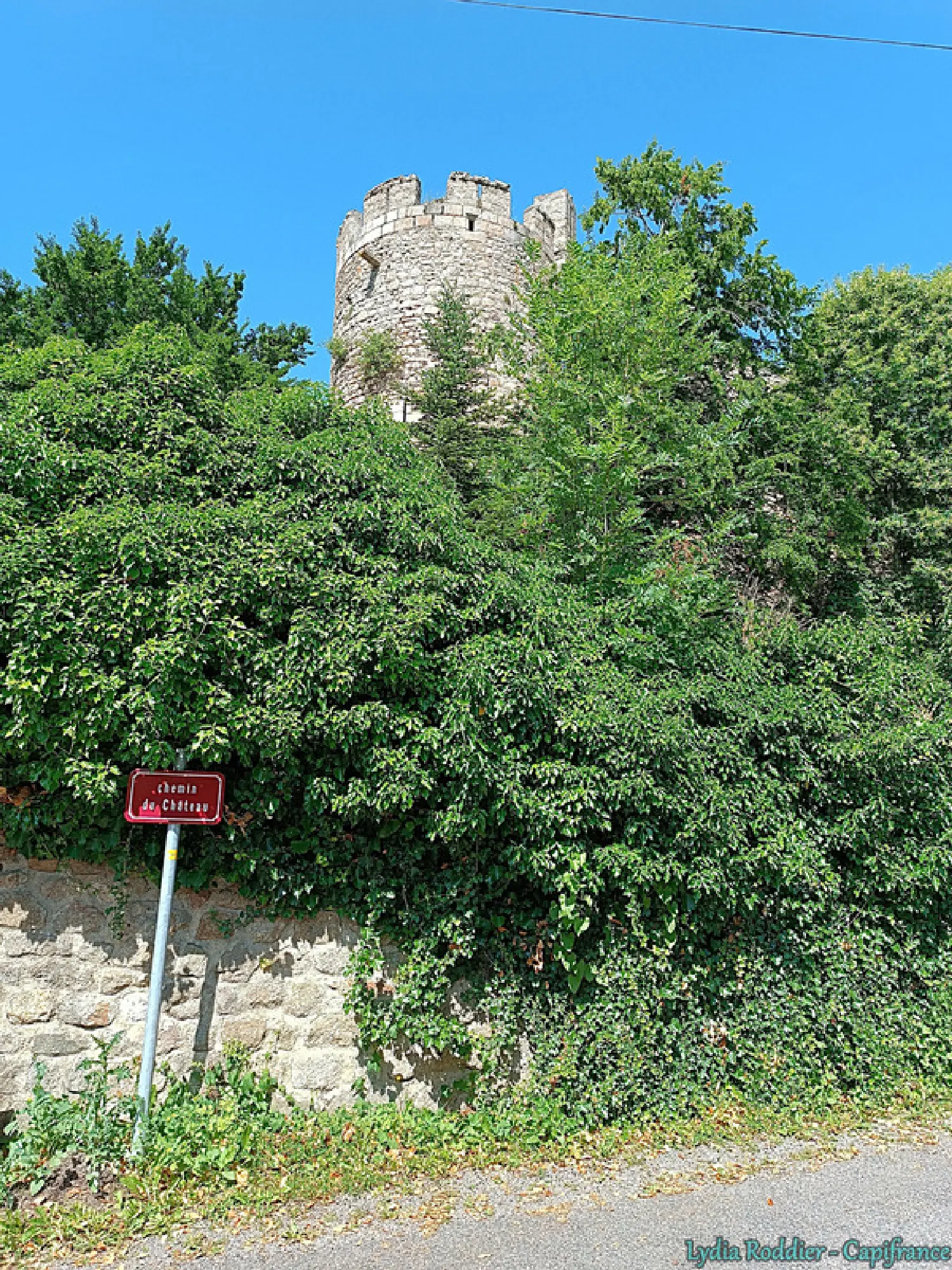  kaufen Grundstück Sauviat Puy-de-Dôme 6
