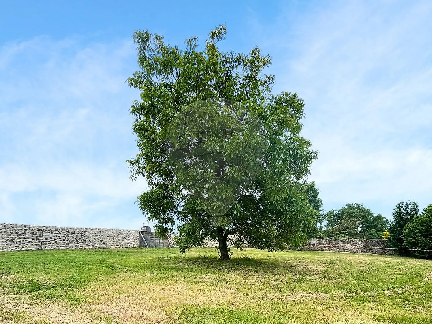  en venta terreno Senlis Oise 1