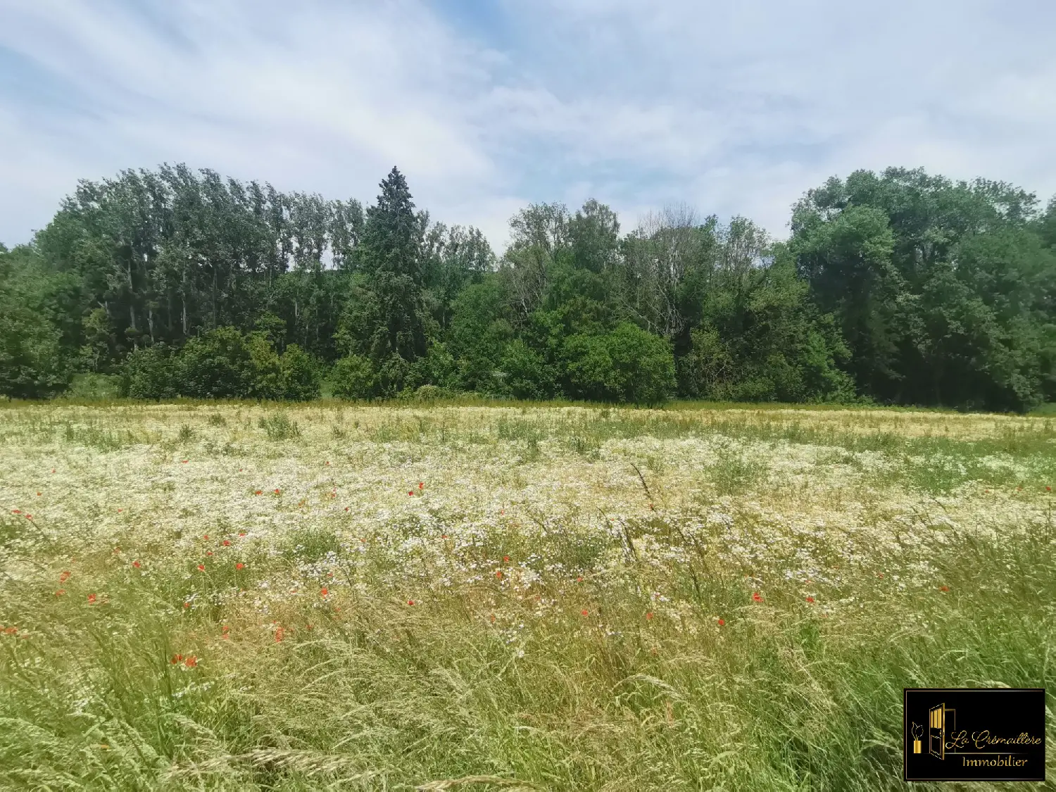  for sale terrain Sermaise Essonne 1