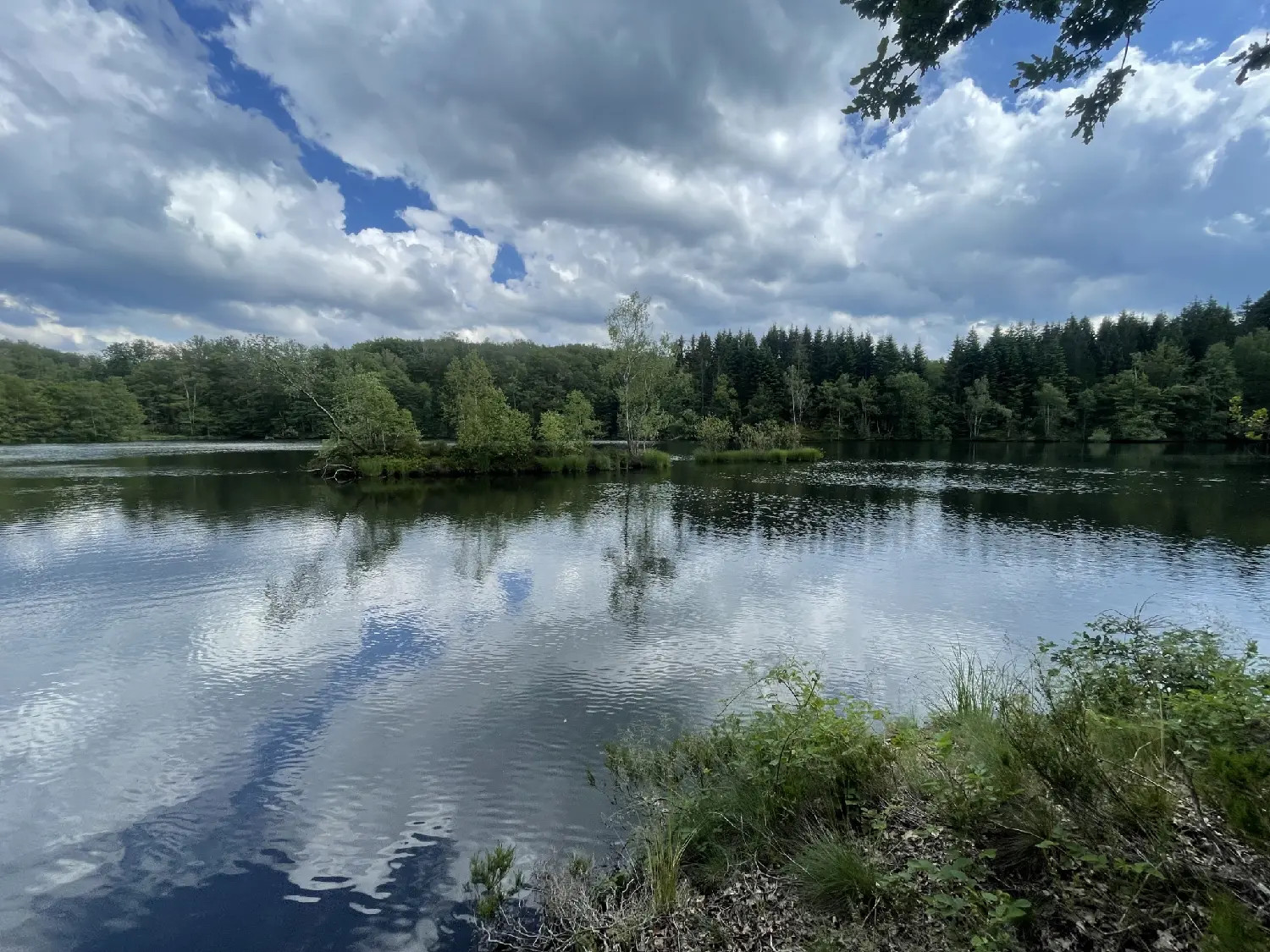  à vendre terrain Servance Haute-Saône 1