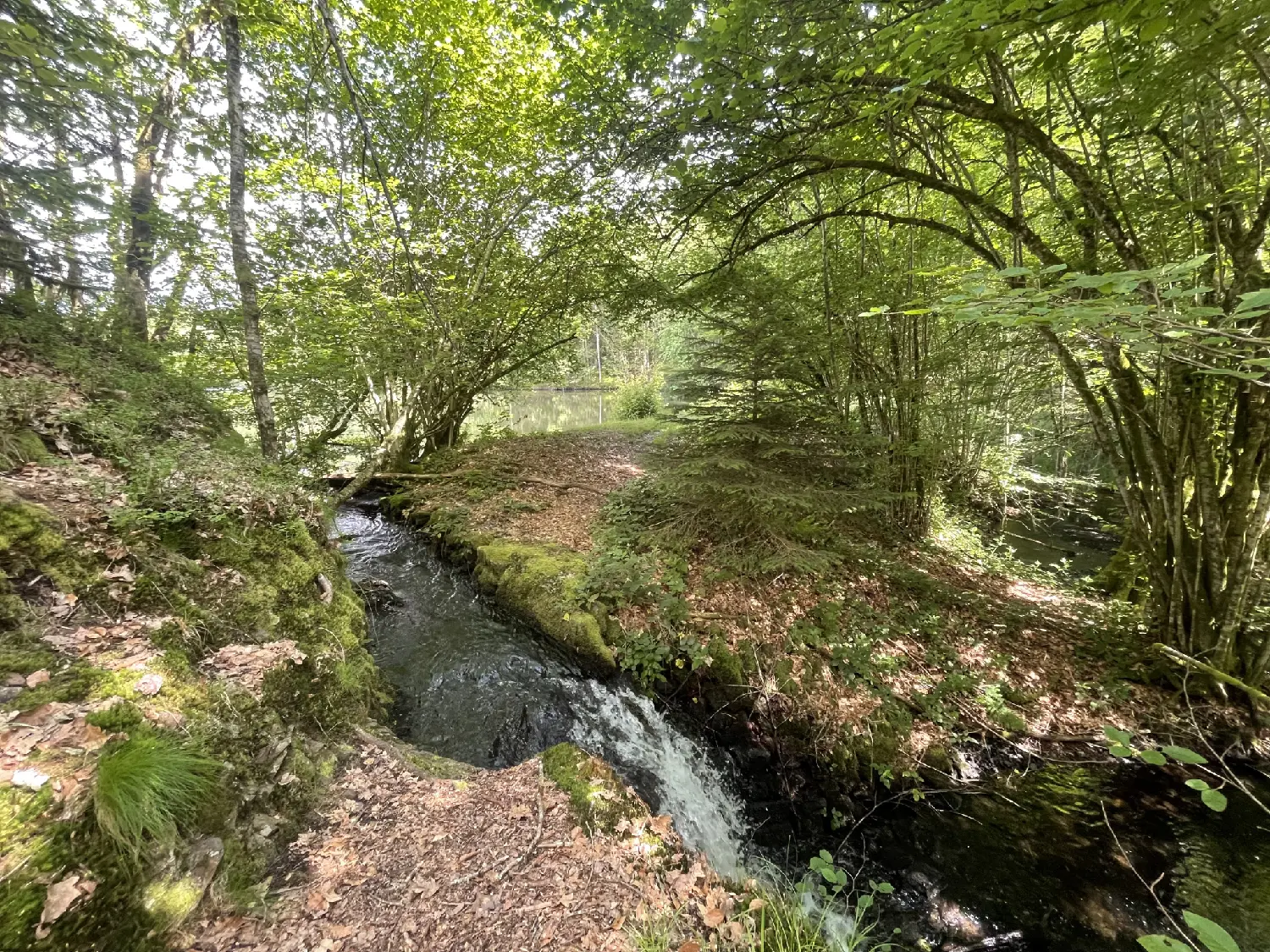  à vendre terrain Servance Haute-Saône 6