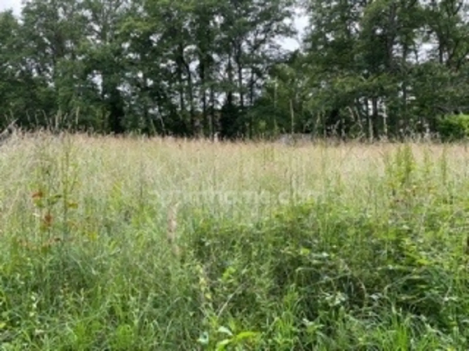  for sale terrain Souesmes Loir-et-Cher 2