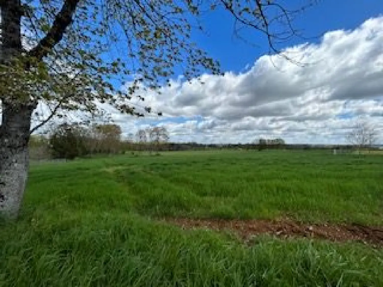  en venta terreno Thiviers Dordoña 3