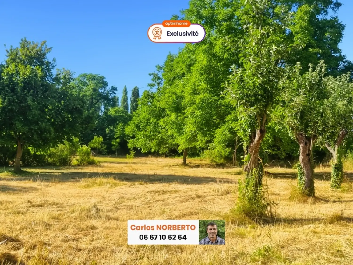  à vendre terrain Vertaizon Puy-de-Dôme 1