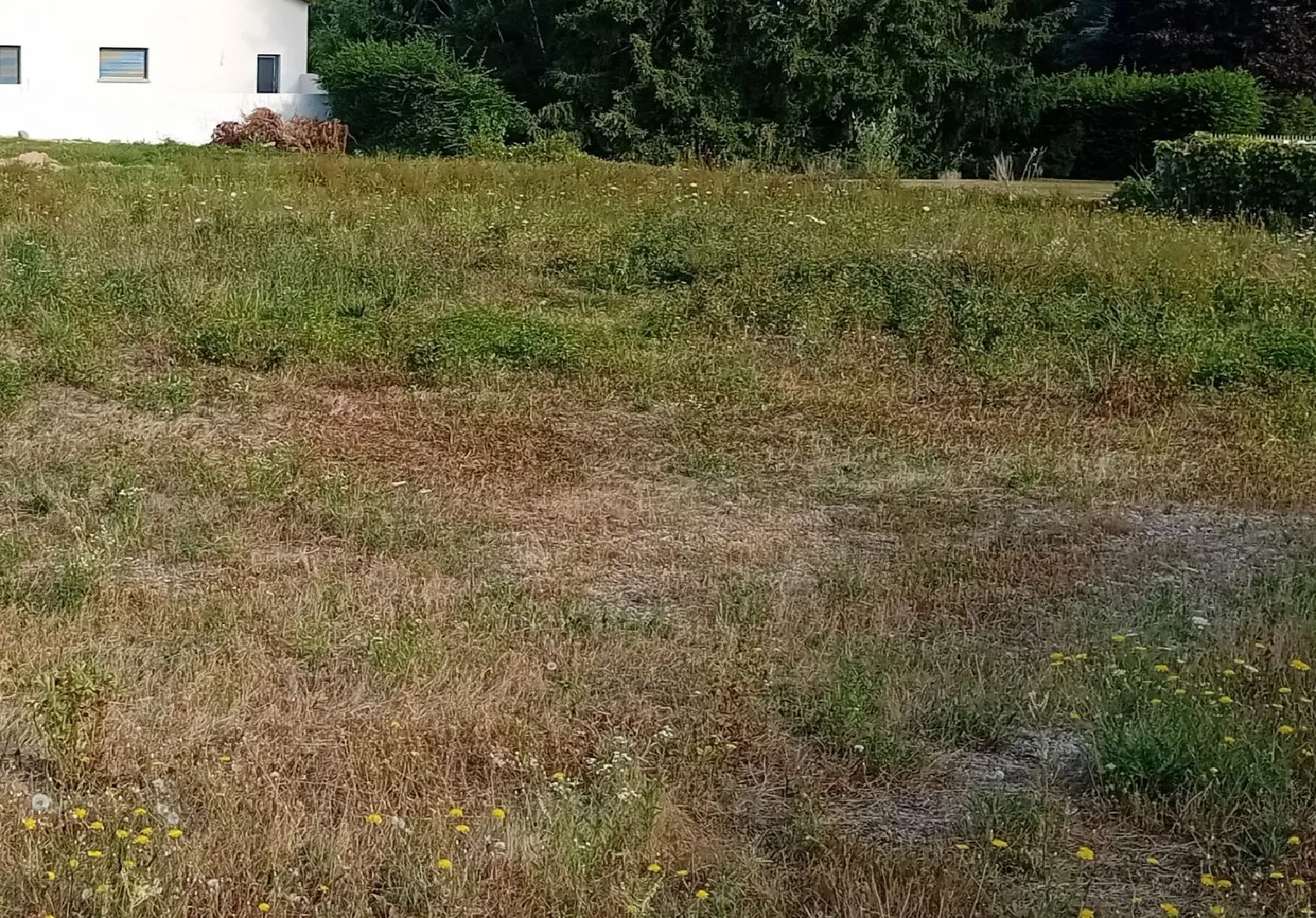  for sale terrain Villars-les-Dombes Ain 3