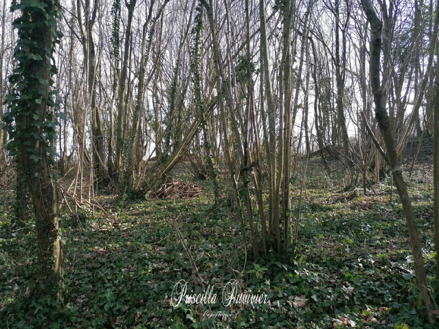  te koop terrein Villers-Saint-Sépulcre Oise 4