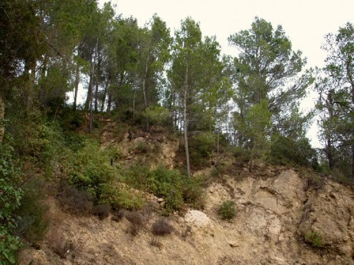  kaufen Grundstück Villesèque-des-Corbières Aude 3