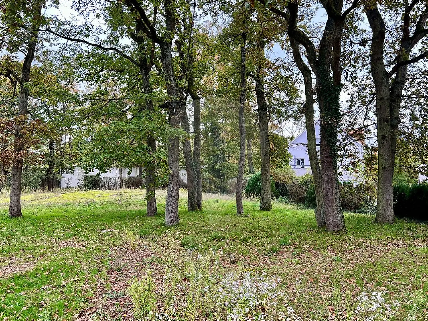  en venta terreno Wittelsheim Haut-Rhin 3