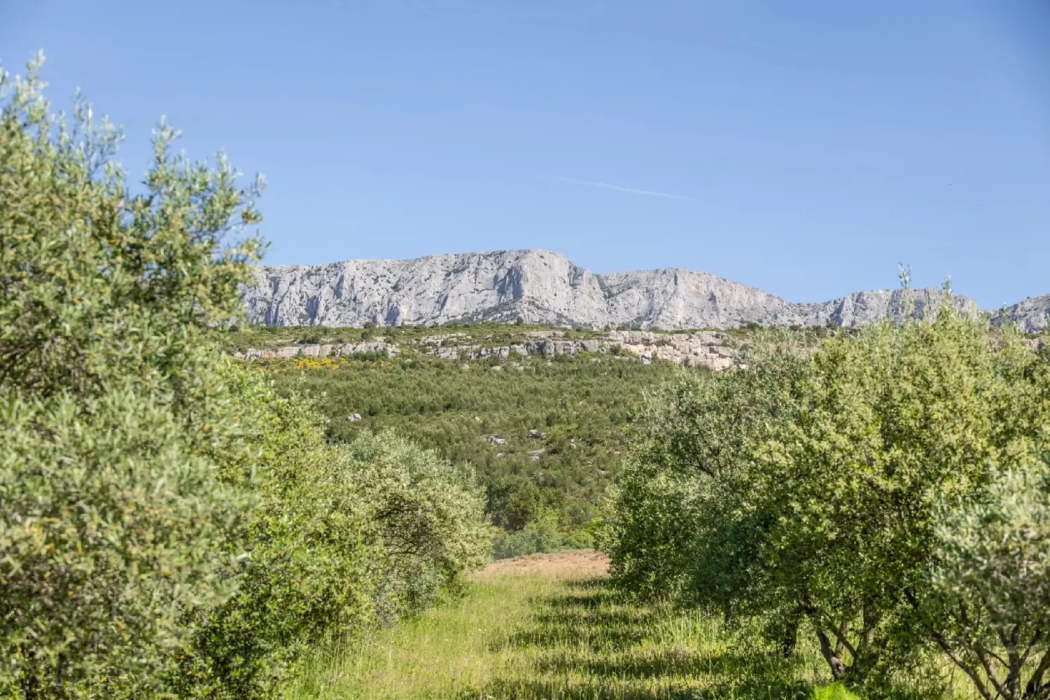  te koop villa Aix-en-Provence Bouches-du-Rhône 5