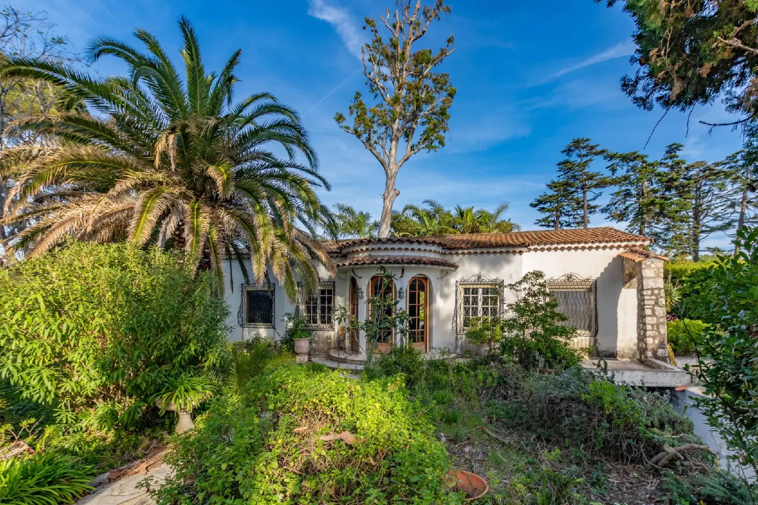  te koop villa Antibes 06160 Alpes-Maritimes 3