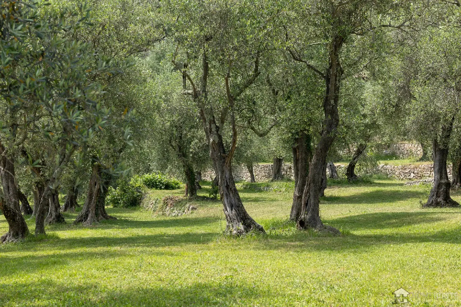  en venta villa Cabris Alpes-Maritimes 5