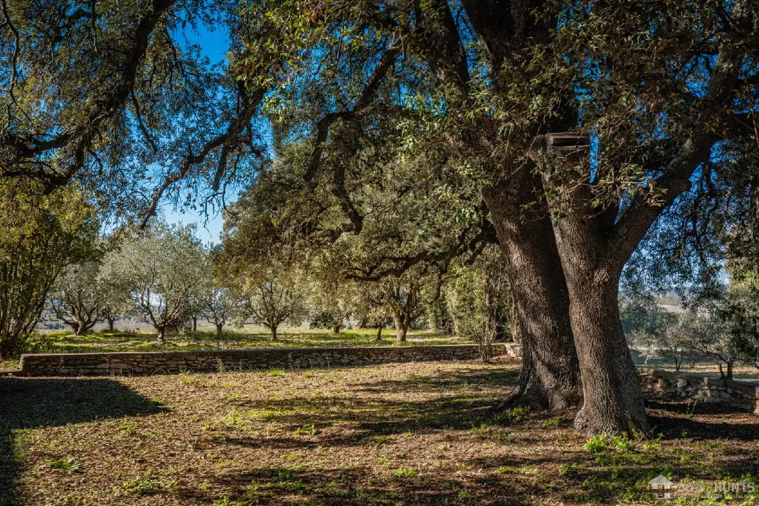 for sale villa Gordes Vaucluse 1