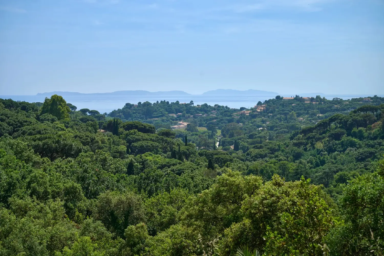  en venta villa La Croix-Valmer Var 4